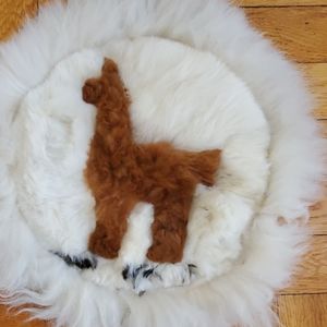 Peruvian accent piece